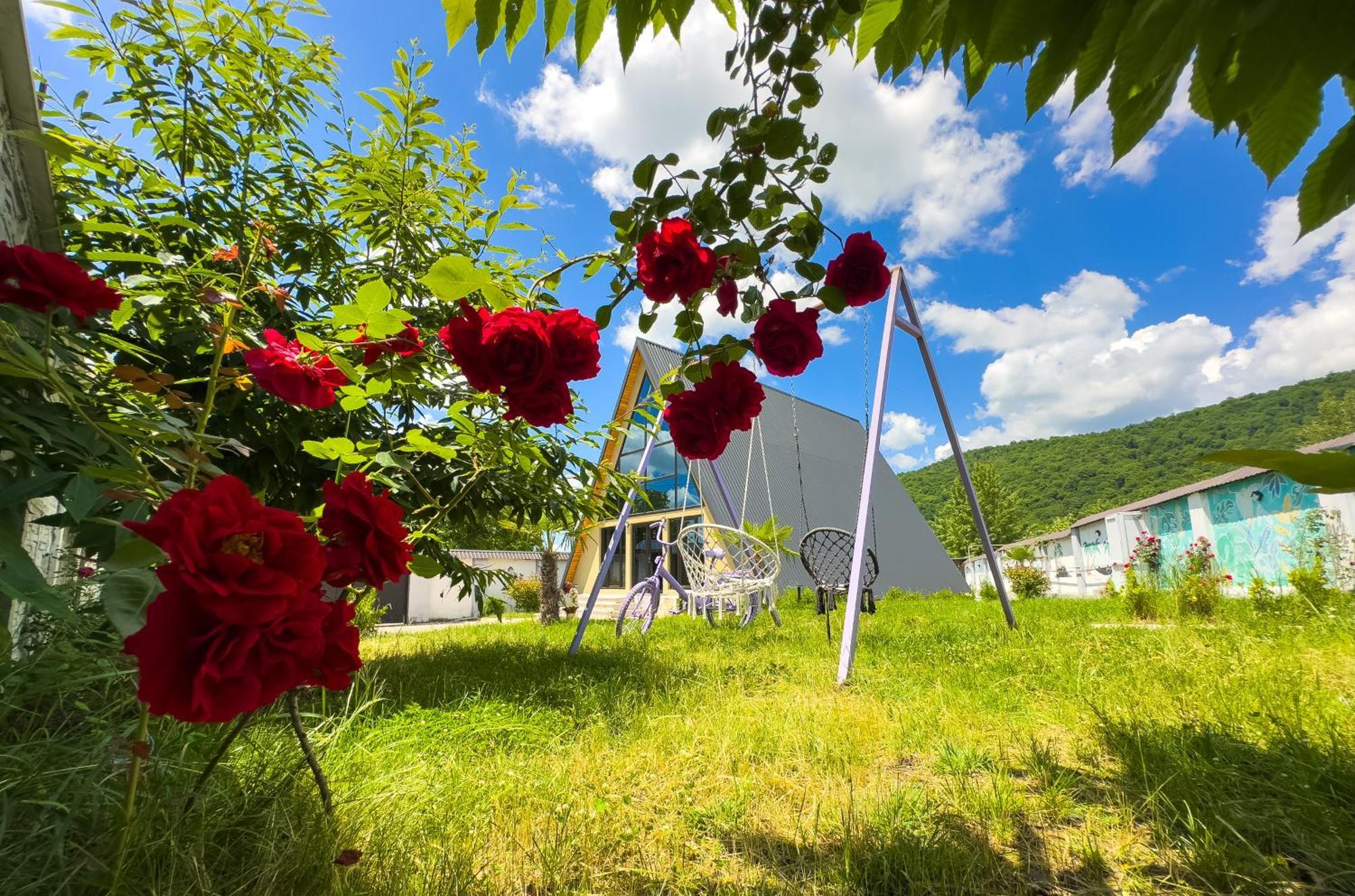 Qafqaz Family Chalet Gabala Ngoại thất bức ảnh